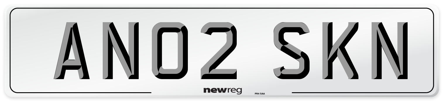 AN02 SKN Number Plate from New Reg